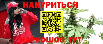 не бодяженный Гай