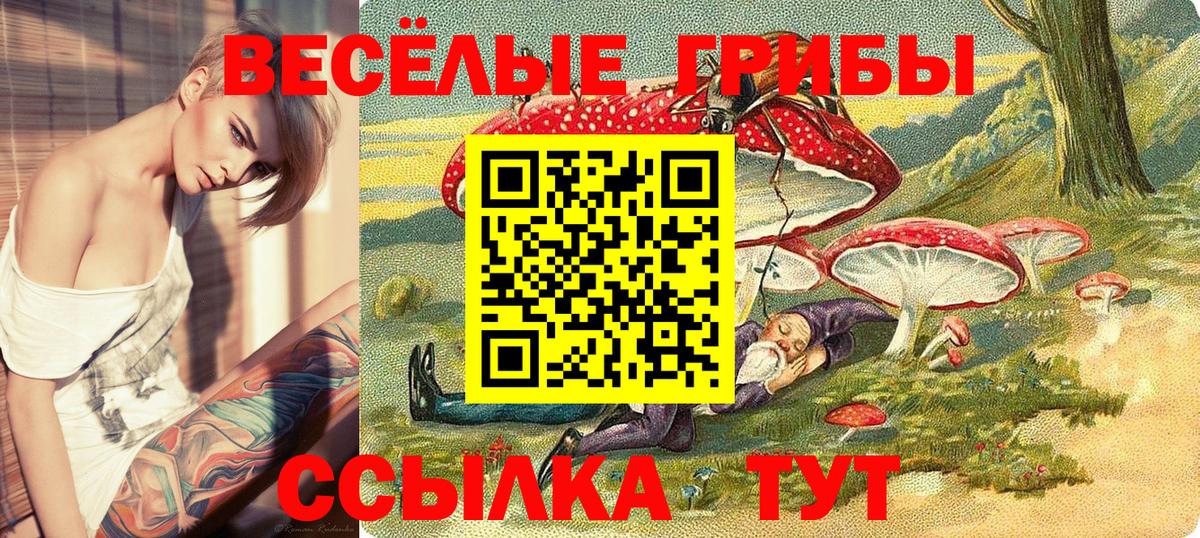 Каменка  Псилоцибиновые грибы MAGIC MUSHROOMS  Вход с VPN 